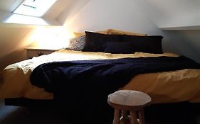 Vakantiehuis Aan Het Bos - Gelegen Aan De Tulpenroute